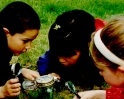 Summer Day Camps - Nature Discovery